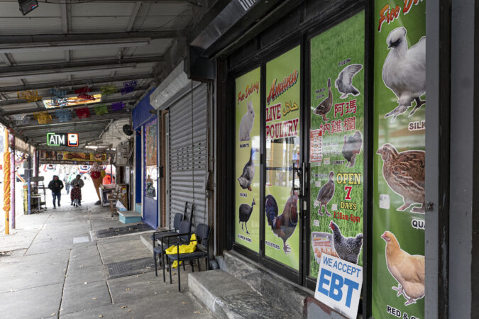 What brings customers to Philly’s live poultry stores