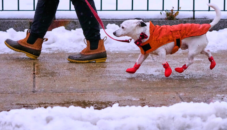 Bomb cyclone brings blizzards, dangerous wind chills to Midwest