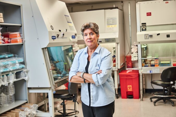 Wistar scientists pinpoint a new approach to ovarian cancer treatment