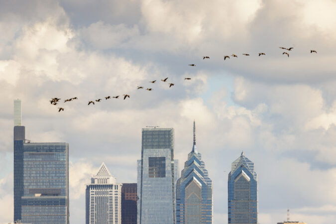 14 events to look forward to in Philly this year that aren’t the World Cup or the 250th