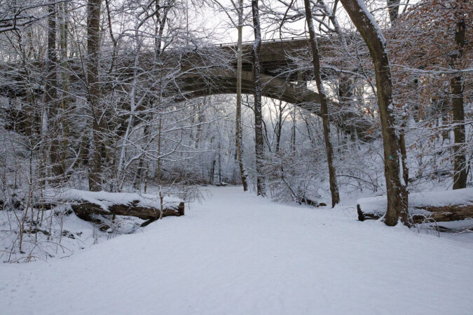 Should your therapy session be outdoors? More therapists are trying it.