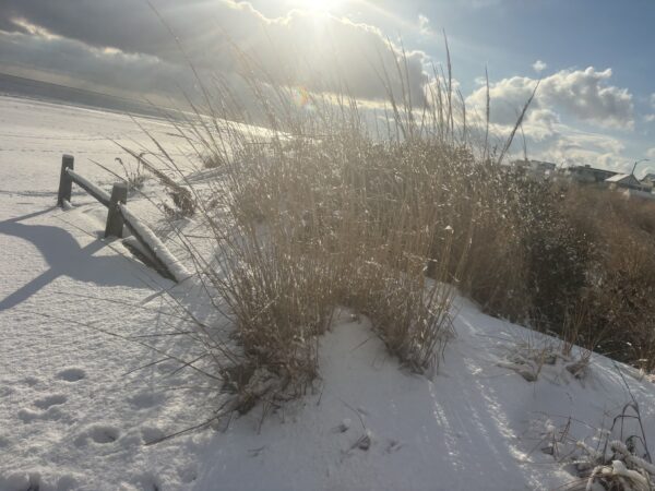Gusty winds and a full moon could combine for minor flooding along the Shore, while Philly will see more bitter cold temperatures