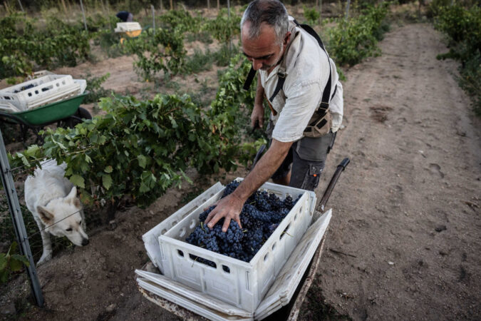 Spain is a wine-making giant. Try this underappreciated red.