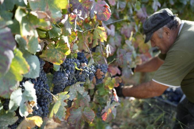 Low-alcohol wines are trending. Here’s one that’s actually good.