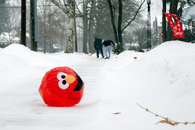 Spotting snowy Elmo