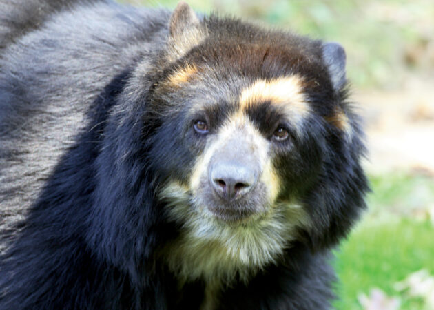 What’s new at the zoo