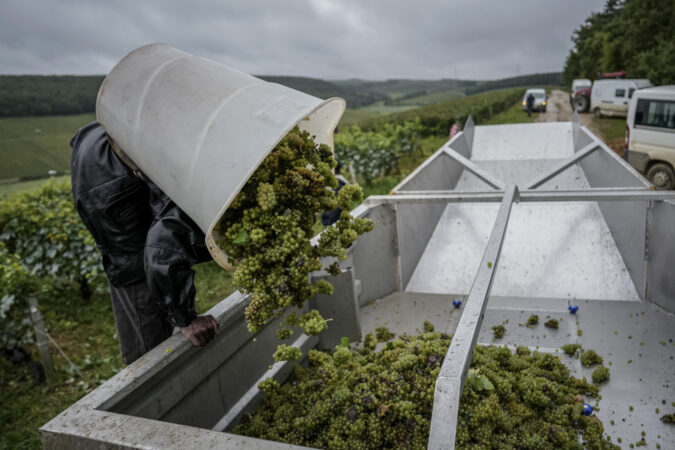 Look for this term when picking a chardonnay that’s fresher and brighter