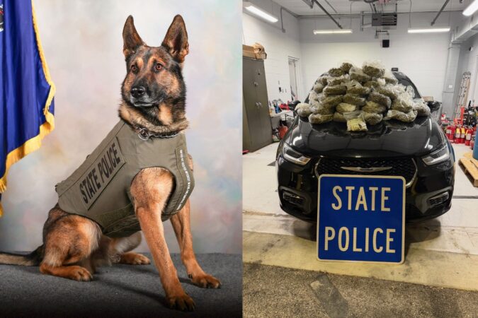 K-9 Ivan makes 40-pound drug bust in Delco