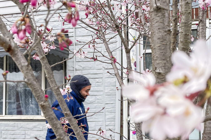After an actual winter in the Philly region, plant life may see the impacts