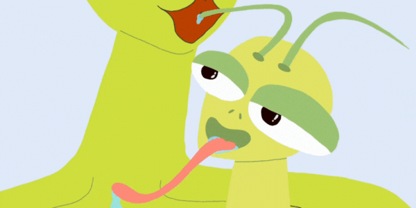 What can a short porn film about praying mantises teach us about ‘desire and devotion and sacrifice’?