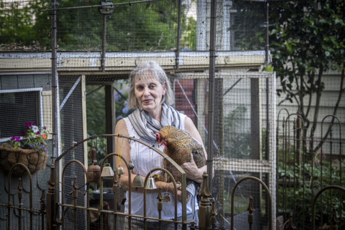 Suzanne Passante holds one of her chickens, Zuzu, inside the chicken coop in the backyard of her home in Haddon Township, N.J., on Wednesday, June 24, 2026.