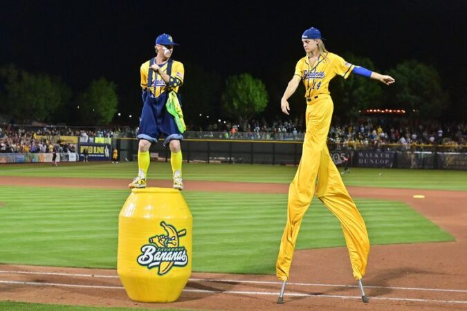 The Savannah Bananas are building on one of baseball’s oldest traditions, barnstorming