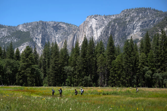 Yosemite offers many wonders. Crushing crowds are now among them.