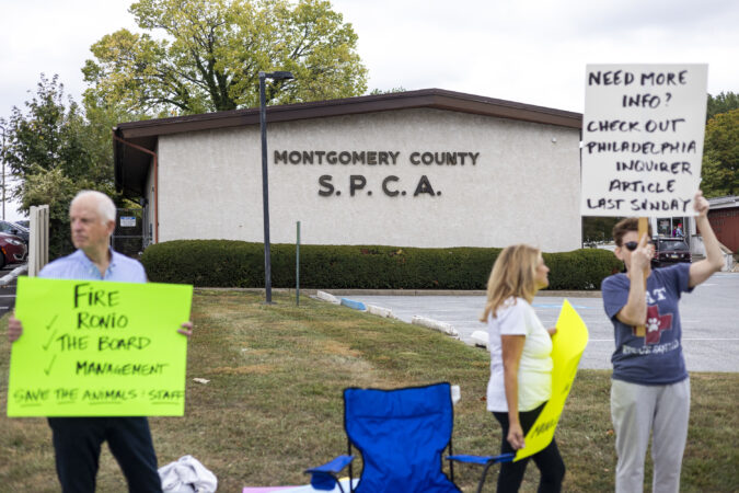 State probe confirms poor conditions and needless euthanasia at wealthy Montco SPCA, leading to reforms