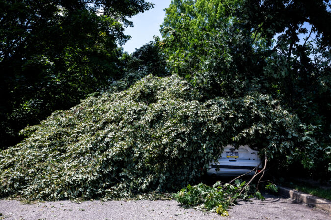 A car belonging to Hugh and Grace Parker is buried under the a tree in front of their Narberth home Monday, July 13, 2026, following the weekend’s storm. They are still waiting for utility crews to take care of downed wires inside the branches before the tree can be removed.